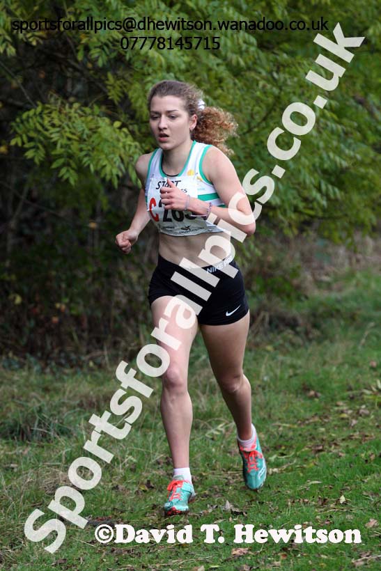 Senior womens Northern Cross Country Relays. Photo: David T. Hewitson/Sports for All Pics